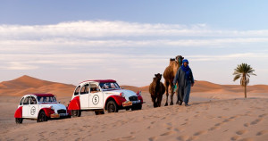 Le Citroen 2CV non temono neppure il deserto...